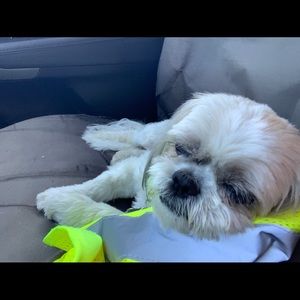 Meet your Posher, Debbie